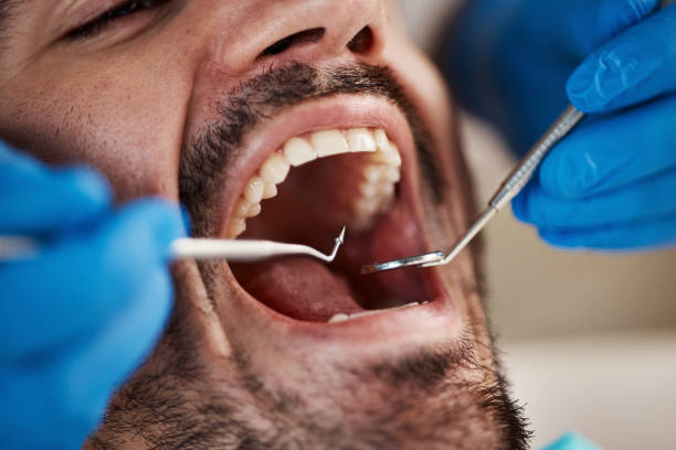 Best Pediatric Emergency Dentist in Fishhook, AK